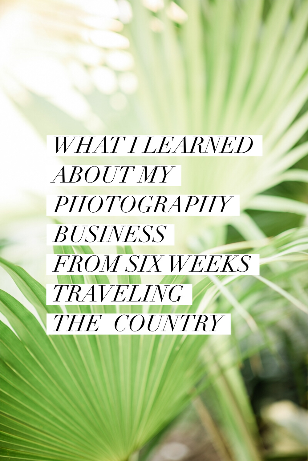 What I learned about my photography business from six weeks traveling the country