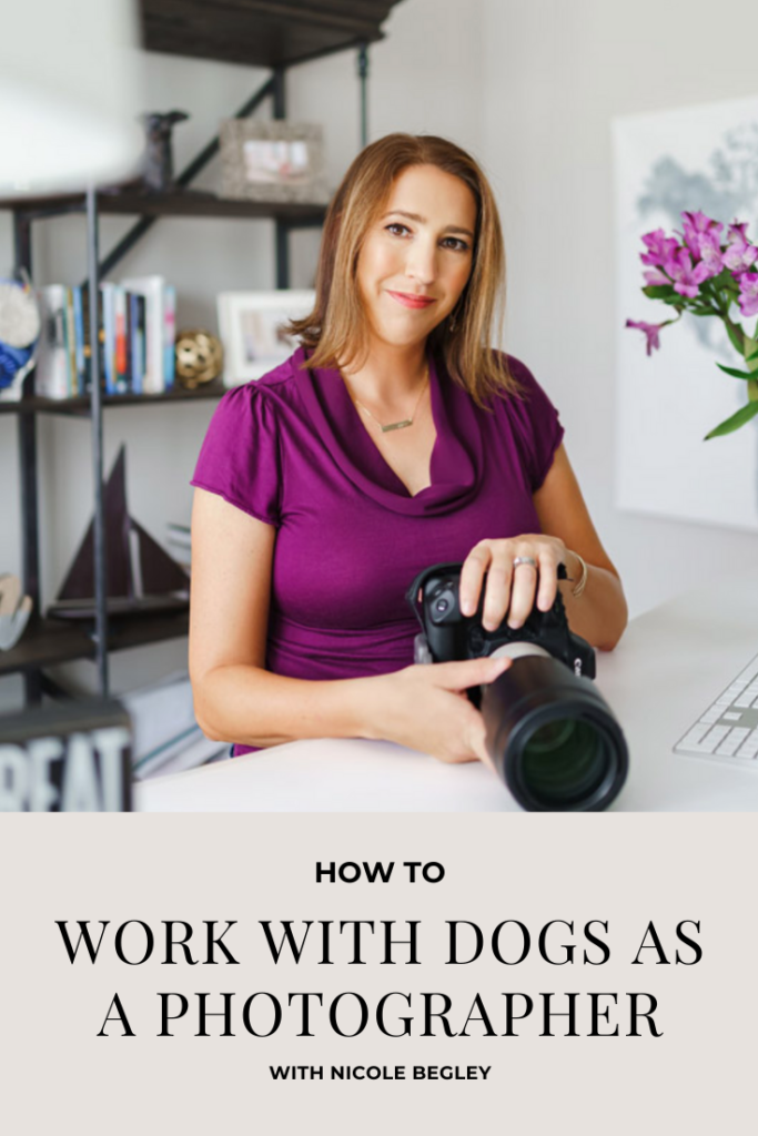 How to work with dogs as a photographer with Nicole Begley