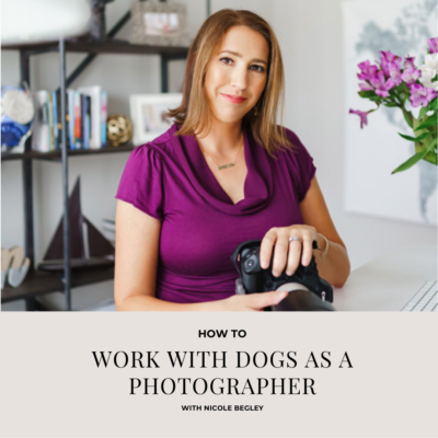 How to photograph dogs and pets as a professional photographer